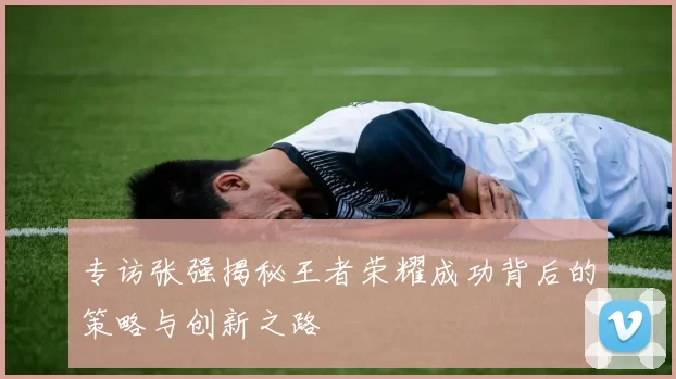 专访张强揭秘王者荣耀成功背后的策略与创新之路