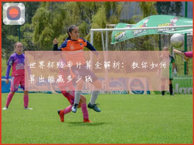 世界杯赔率计算全解析:教你如何算出能赢多少钱