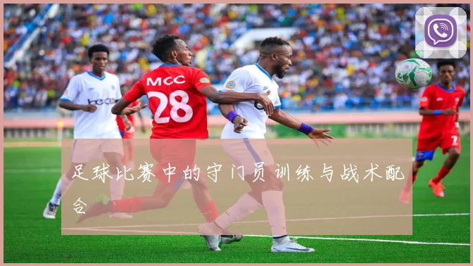 足球比赛中的守门员训练与战术配合