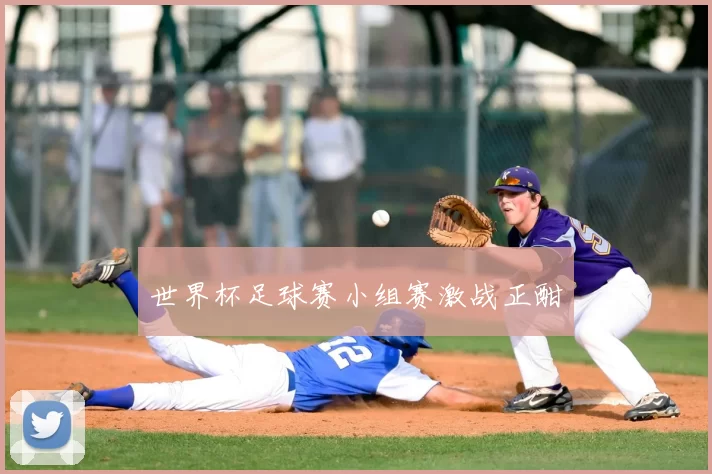 世界杯足球赛小组赛激战正酣