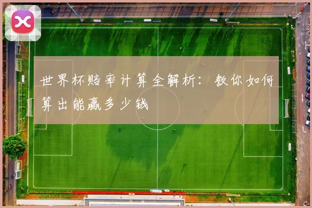 世界杯赔率计算全解析:教你如何算出能赢多少钱