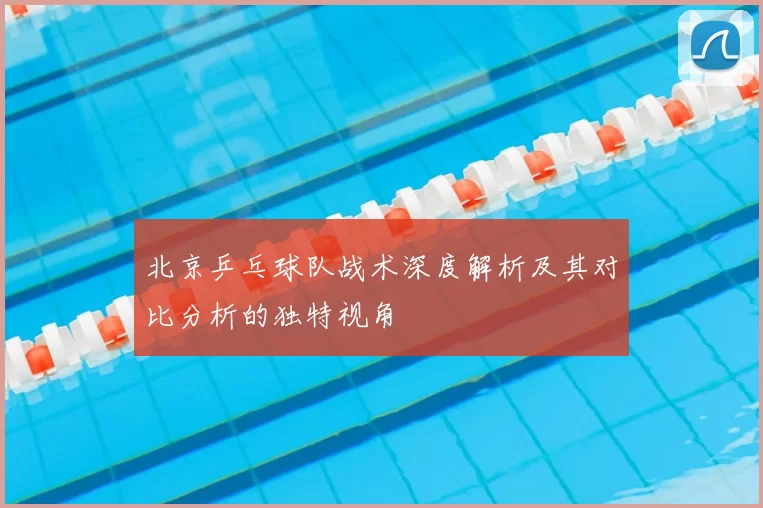 北京乒乓球队战术深度解析及其对比分析的独特视角
