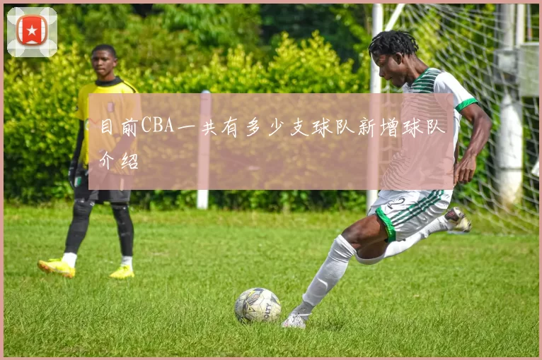 目前CBA一共有多少支球队新增球队介绍