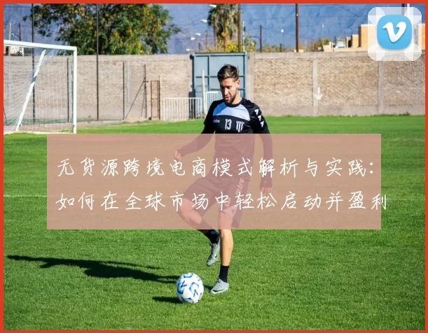 无货源跨境电商模式解析与实践：如何在全球市场中轻松启动并盈利