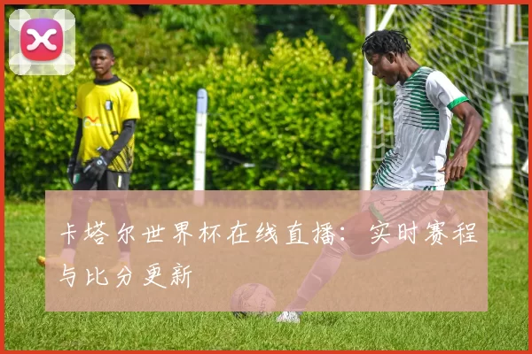 卡塔尔世界杯在线直播:实时赛程与比分更新
