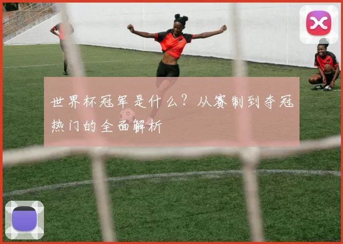 世界杯冠军是什么?从赛制到夺冠热门的全面解析