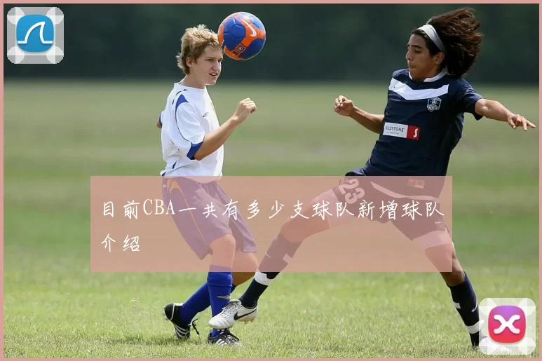 目前CBA一共有多少支球队新增球队介绍