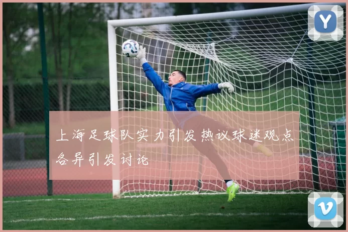 上海足球队实力引发热议球迷观点各异引发讨论