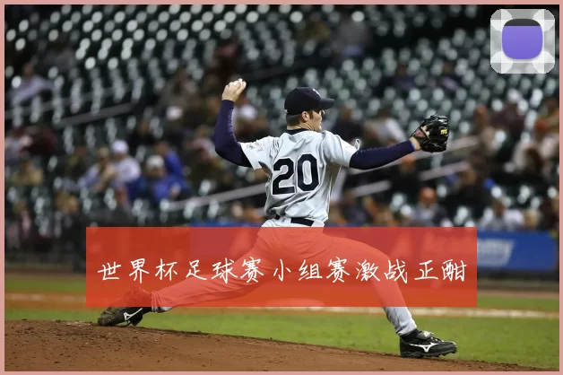 世界杯足球赛小组赛激战正酣