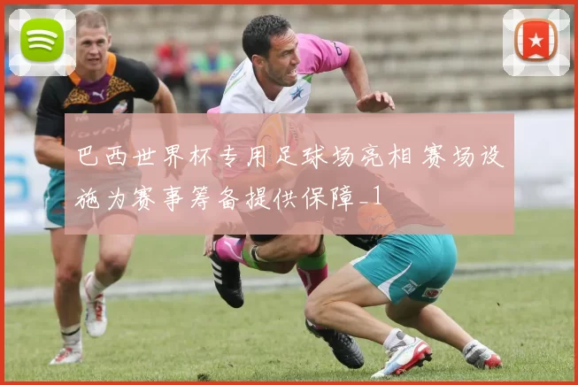 巴西世界杯专用足球场亮相 赛场设施为赛事筹备提供保障_1